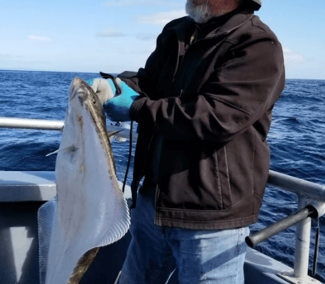 Screen Shot 2020-10-01 at 7.03.20 PM