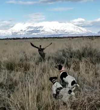 FB_IMG_1768166316812