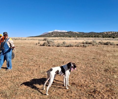 Resized_20251018_104514