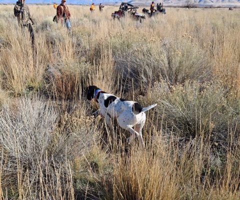 Resized_20260110_115318